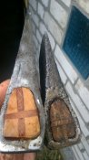 WP_20201007_14_36_58_Pro.jpg
