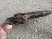IMG_20201007_124543.jpg