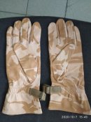 IMG_20201007_154944_1.jpg