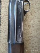IMG_20201007_092518.jpg