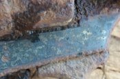 20201007_164723.jpg