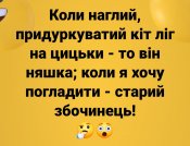 изображение_viber_2020-10-07_21-36-35.jpg