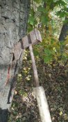 20201008_095141.jpg