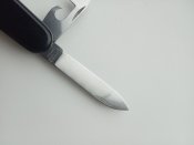IMG_20201008_082145.jpg