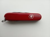 IMG_20201008_082225.jpg