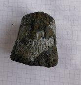 IMG_20201006_075534.jpg