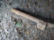 IMG_20201008_115211.jpg