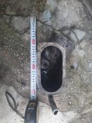 20201008_124143.jpg