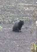 IMG_20201008_144319.jpg