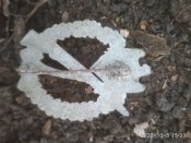 IMG_20201008_153355.jpg