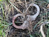 IMG_20201008_172554.jpg