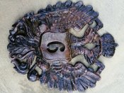 IMG_20201008_155401.jpg