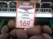 яйца слона.jpg