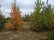 IMG_20201009_165716.jpg
