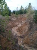 IMG_20201009_155714.jpg
