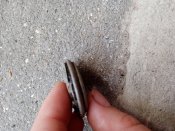 IMG_20201010_092221.jpg