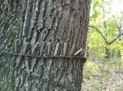 IMG_20200925_145806.jpg
