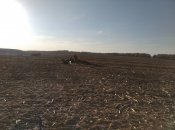 IMG_20201009_162110.jpg