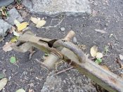 DSCN2670.JPG