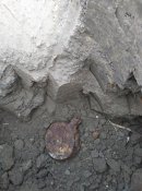 IMG_20201009_152948.jpg
