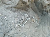 IMG_20201009_150249.jpg