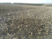 IMG_20201009_162052.jpg