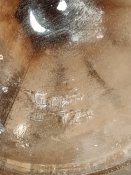 IMG_20201010_090018.jpg
