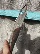 IMG_20201010_115808.jpg