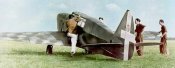 FN305-COL.jpg