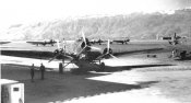 S81-AVIANO.jpg