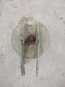 IMG_20201011_172842.jpg