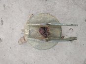 IMG_20201011_172925.jpg