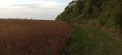 IMG_20201011_173437.jpg