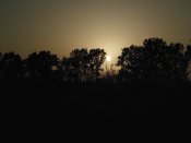 IMG_0010.jpg