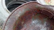 IMG_20201012_120357.jpg