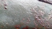 IMG_20201012_120727.jpg
