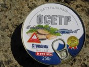 осетр