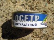 IMG_2437.JPG