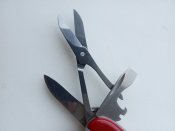 IMG_20201012_162708.jpg