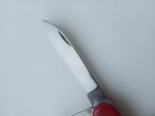 IMG_20201012_162649.jpg