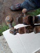 IMG_20201013_114901.jpg
