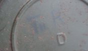 P1016400.JPG