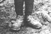 013.jpg