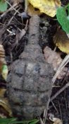 20201011_172913.jpg