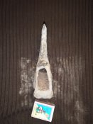 IMG_20201013_184443.jpg