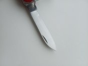 IMG_20201013_124040.jpg