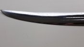 20201013_115243.jpg