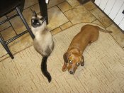 IMG_0174.JPG