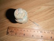DSCF2867.jpg