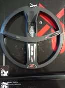 IMG_20201015_145653.jpg